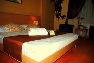 Отель Hotel Vandia Тимишоара Стандартный двухместный номер с 1 кроватью-15