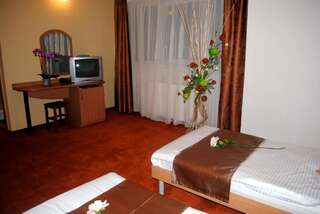 Отель Hotel Vandia Тимишоара Стандартный двухместный номер с 2 отдельными кроватями-16