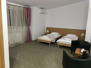 Отель Hotel Vandia Тимишоара Стандартный двухместный номер с 2 отдельными кроватями-5